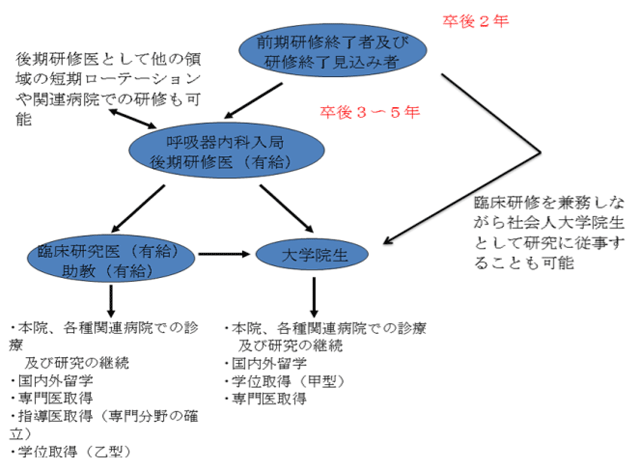 呼吸器内科 前期研修終了後(卒後3年目以降の進路モデル)