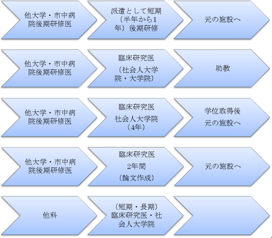 変則的な研修、研究