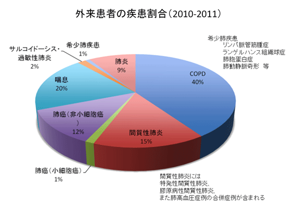 外来患者の疾患割合(2010-2011)