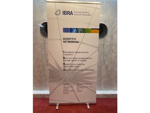 IBRA1.jpg