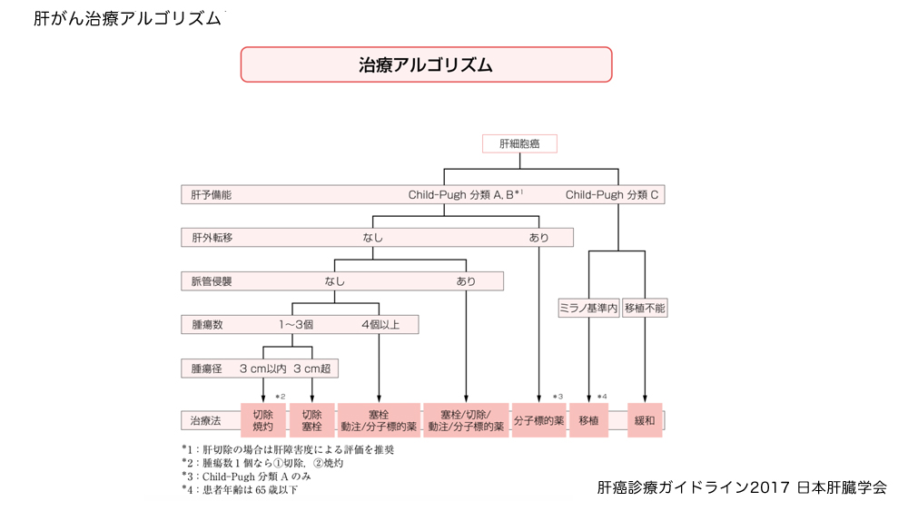 図2.肝がん治療アルゴリズム